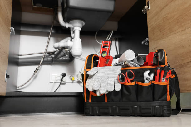 Best Plumbing Inspection Services  in Anderson Island, WA